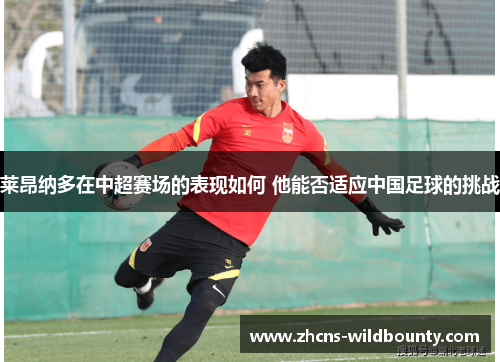 莱昂纳多在中超赛场的表现如何 他能否适应中国足球的挑战