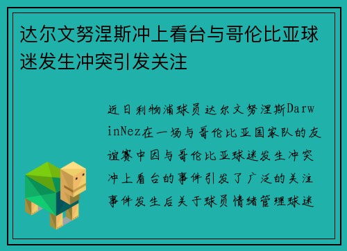 达尔文努涅斯冲上看台与哥伦比亚球迷发生冲突引发关注